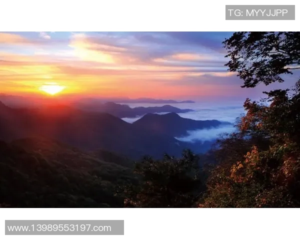 王芳的攀岩人生：在高峰与深渊之间的深度对话与心灵探索